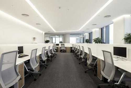 洪山专业白蚁防治要多少钱