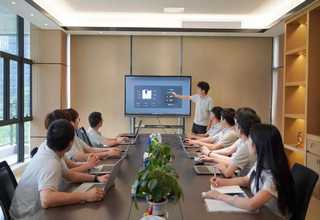 EMG 17-OV-24DC/240AC/3菲尼克斯继电器德国