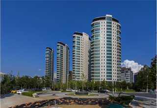 临泽饭店调料有没有批发的