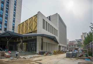 浙江赤嘴鳘鱼胶比较好